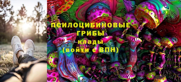 крисы Абинск