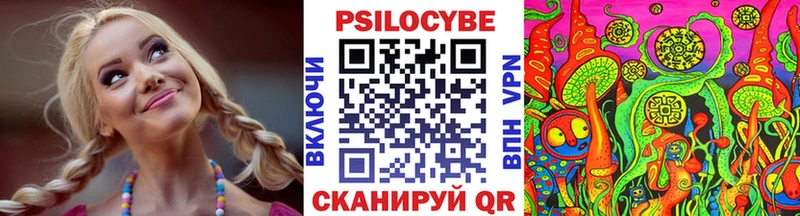 MEGA маркетплейс  закладки  Лиски  Псилоцибиновые грибы GOLDEN TEACHER 